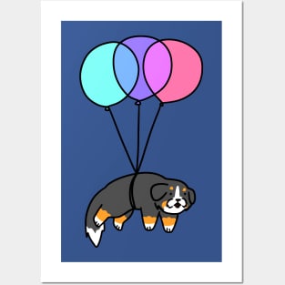 Balloon Bernese Mountain Dog Posters and Art